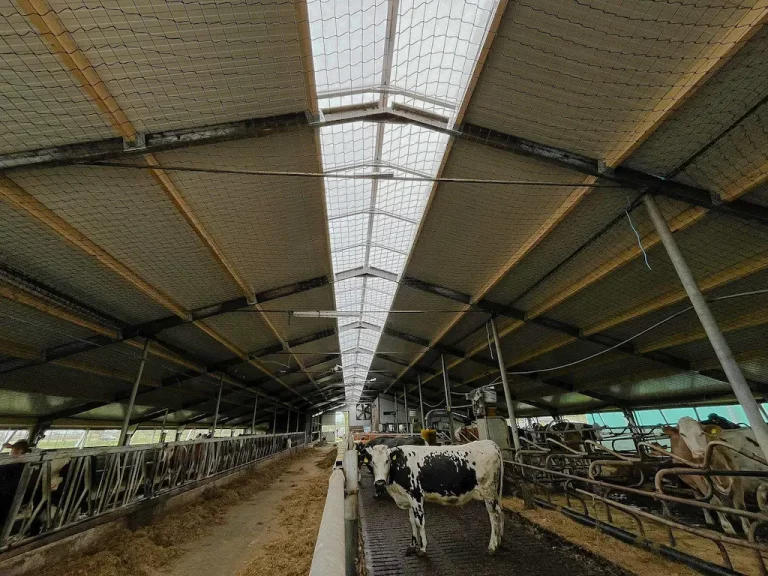 Gemonteerd dak met lichtstraat vanaf de binnenkant in Kedichem