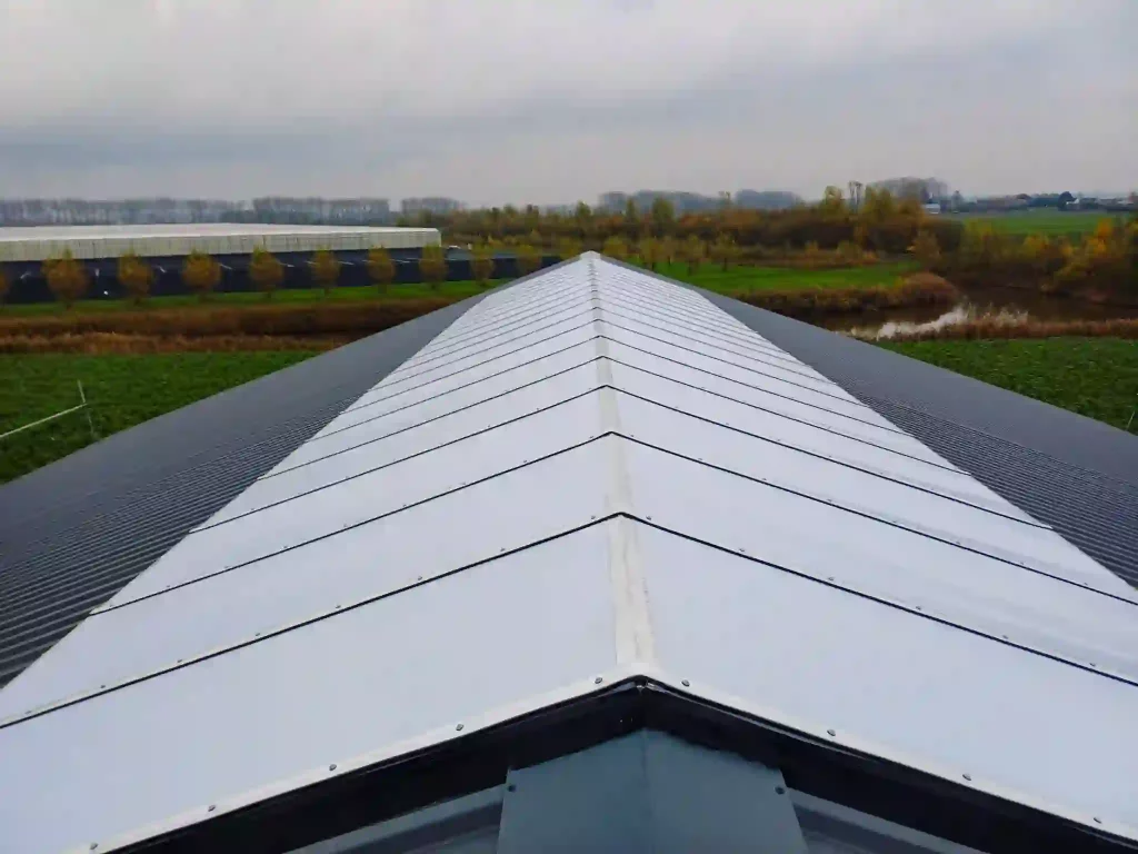 Dakrenovatie in Westdorpe door Bunt Lichtstraten 