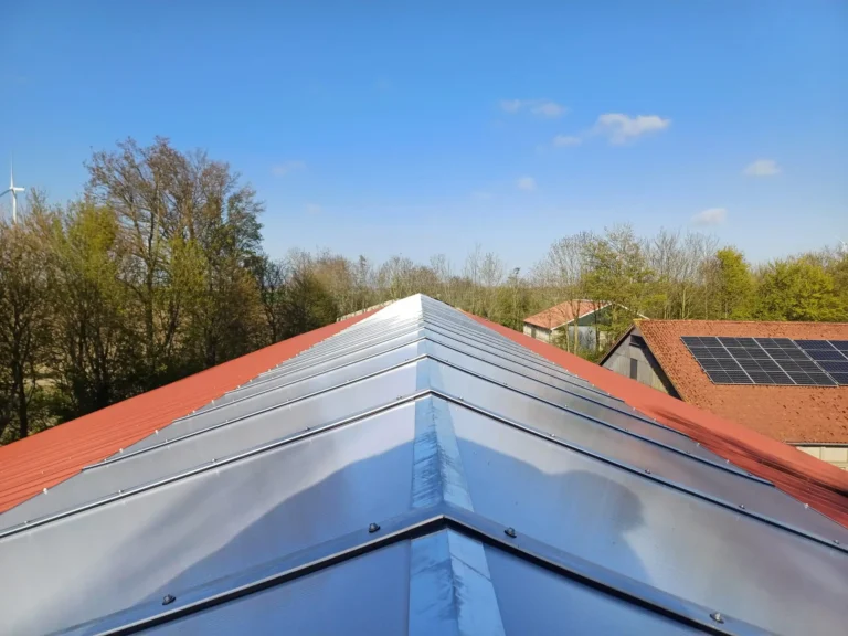 Project Biddinghuizen