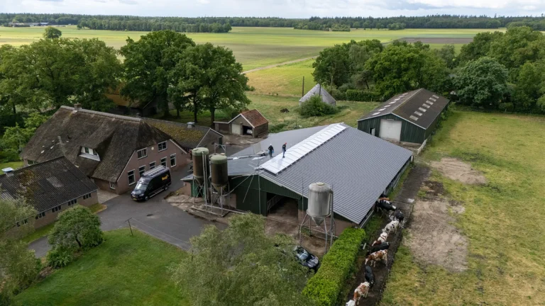 Project Rheezerveen